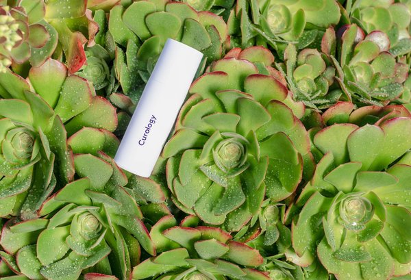 Prendre soin de soi avec des plantes médicinales: les précautions à prendre